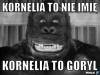 kornelia4