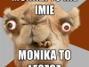monika7